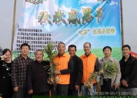 【2015年七不”生态养植小黄姜秋收感恩节】之一 山东曲阜庆典篇 2015.10.24