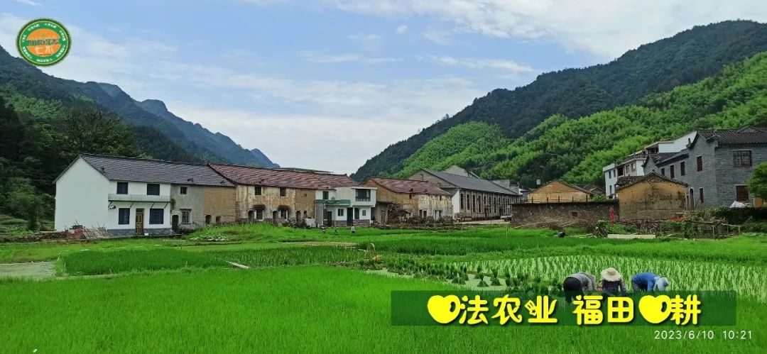 (●'◡'●)6月庆祝春播春种顺利完成! 姜膏姜油 端午糯米 会员积分换购特惠 ,2023预售大米 会员折上折 6.18折 (●'◡'●)6月庆祝春播春种顺利完成! 姜膏姜油 端午糯米 会员积分换购特惠 ,2023预售大米 会员折上折 6.18折