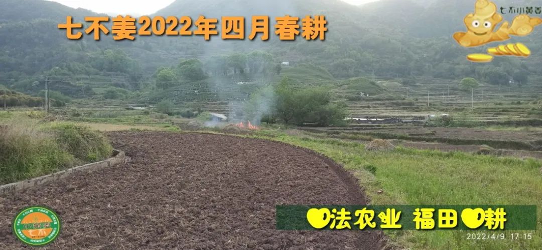 七不姜2022年四月春耕图 七不姜2022年四月春耕图