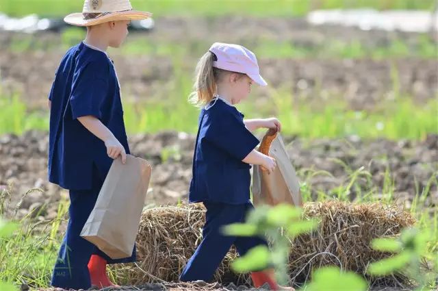 清迈 | 这家开业不久的亲子农庄,太让人动心。 清迈 | 这家开业不久的亲子农庄,太让人动心。