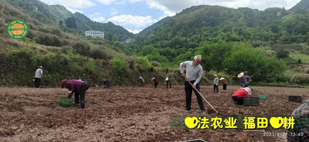 2023年4月-5月 七不姜春播图!家庭厨房生姜如何去皮切片 七不姜5月促销优惠劵 2023年4月-5月 七不姜春播图!家庭厨房生姜如何去皮切片 七不姜5月促销优惠劵