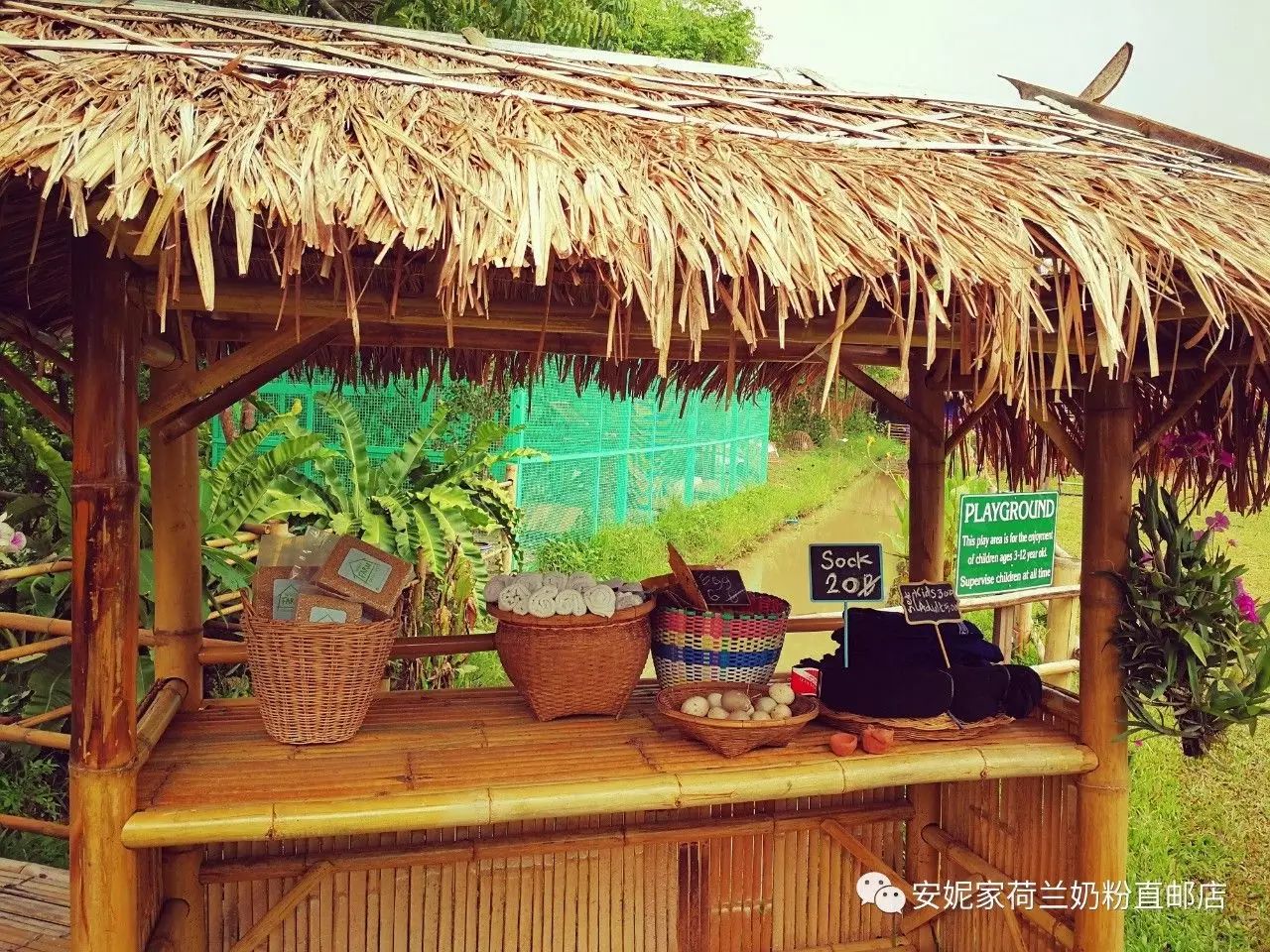 【清迈】GINGER FARM里的泰国农家乐,可以举办生日趴体,10月份假期日托班信息在贴底 【清迈】GINGER FARM里的泰国农家乐,可以举办生日趴体,10月份假期日托班信息在贴底