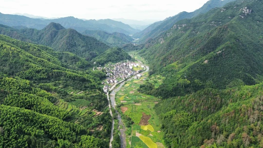 2024年新春福袋 七不姜全家福 礼装 龙重登场´◡` ꒰^ↀωↀ^꒱ 2024年新春福袋 七不姜全家福 礼装 龙重登场´◡` ꒰^ↀωↀ^꒱