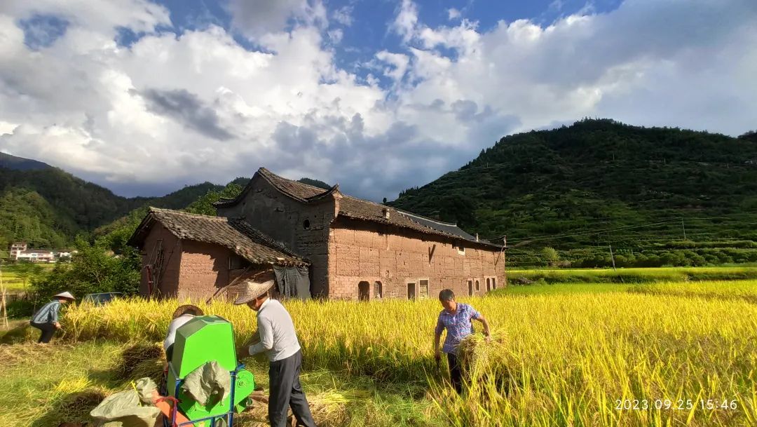 2024年1月新年快乐!元旦快乐!优惠“卷”送给您收下。 2024年1月新年快乐!元旦快乐!优惠“卷”送给您收下。