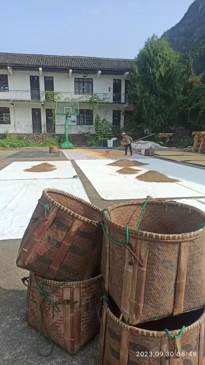 姜园国庆放假。特惠限时 姜膏 每满30.00元减10.00元,节后发货包邮、送优惠券/码 3张、送赠品 姜园国庆放假。特惠限时 姜膏 每满30.00元减10.00元,节后发货包邮、送优惠券/码 3张、送赠品