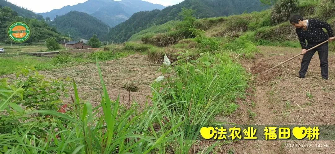 2023年4月-5月 七不姜春播图!家庭厨房生姜如何去皮切片 七不姜5月促销优惠劵 2023年4月-5月 七不姜春播图!家庭厨房生姜如何去皮切片 七不姜5月促销优惠劵