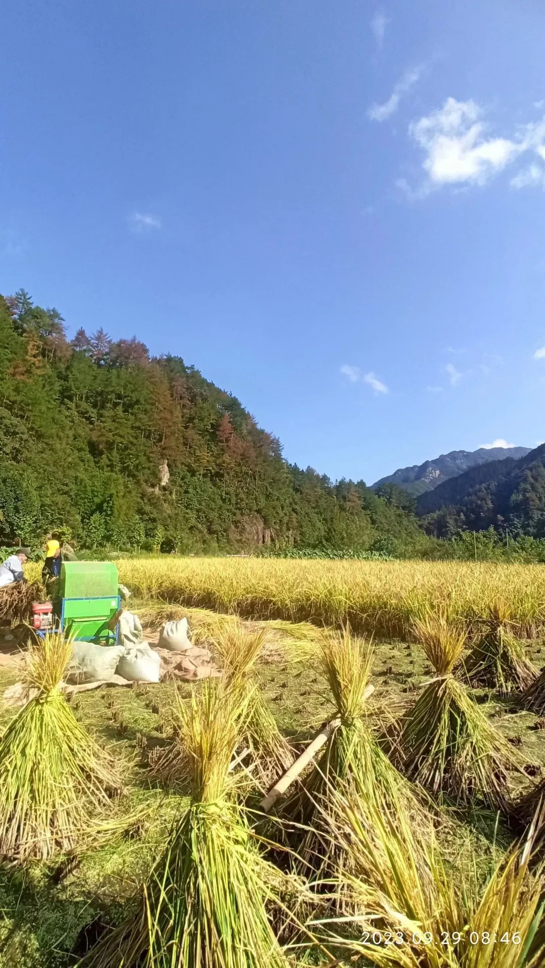 姜园国庆放假。特惠限时 姜膏 每满30.00元减10.00元,节后发货包邮、送优惠券/码 3张、送赠品 姜园国庆放假。特惠限时 姜膏 每满30.00元减10.00元,节后发货包邮、送优惠券/码 3张、送赠品