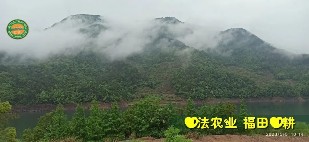 2023年4月-5月 七不姜春播图!家庭厨房生姜如何去皮切片 七不姜5月促销优惠劵 2023年4月-5月 七不姜春播图!家庭厨房生姜如何去皮切片 七不姜5月促销优惠劵