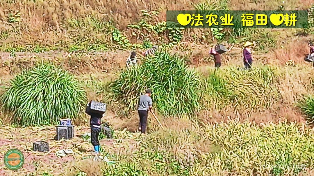 2024年4月春暖花开！春耕优惠“卷”