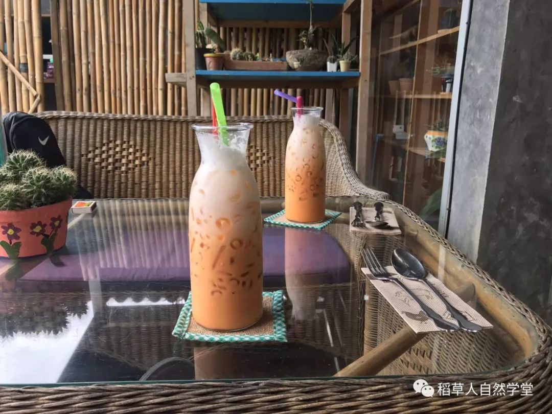 探访清迈Ginger Farm(2018.7.7) 探访清迈Ginger Farm(2018.7.7)