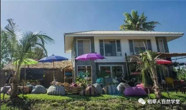 探访清迈Ginger Farm(2018.7.7) 探访清迈Ginger Farm(2018.7.7)