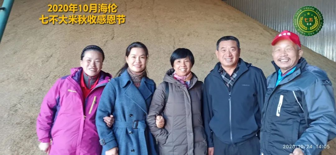 【海伦七不水稻秋收报恩健康行】海伦寒地黑土七不香稻秋收采风 2020.10.24 【海伦七不水稻秋收报恩健康行】海伦寒地黑土七不香稻秋收采风 2020.10.24