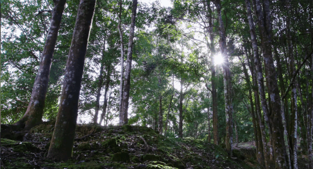 中国香香香香香料地图
