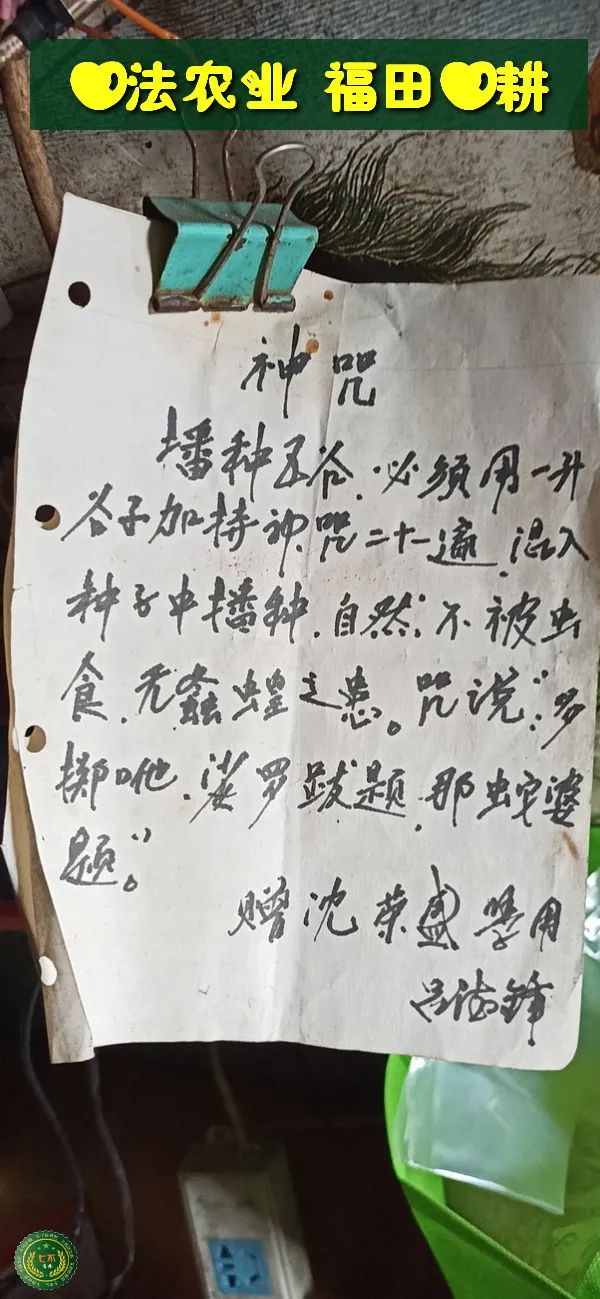 七不红米水稻9月11日上市现货销售-新米限时特惠 家庭大米专场:红米/糯米/ 黑米/泰两优217/中浙优H7 品种多质量优 七不红米水稻9月11日上市现货销售-新米限时特惠 家庭大米专场:红米/糯米/ 黑米/泰两优217/中浙优H7 品种多质量优