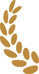 春耕园书院面向社会开放成人班,共有七个方向可选 春耕园书院面向社会开放成人班,共有七个方向可选