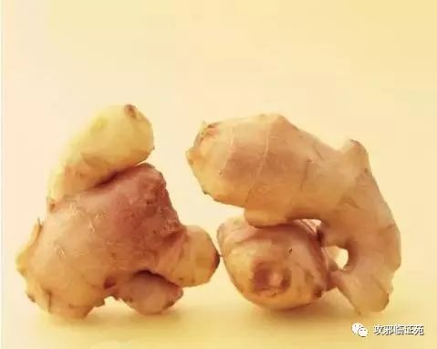 厨房三宝~葱、姜、蒜! 厨房三宝~葱、姜、蒜!