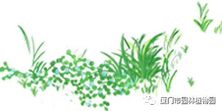 “橙汁”是花不是饮料,旱地里长出莲花...植物园这个园子太神奇了! “橙汁”是花不是饮料,旱地里长出莲花...植物园这个园子太神奇了!