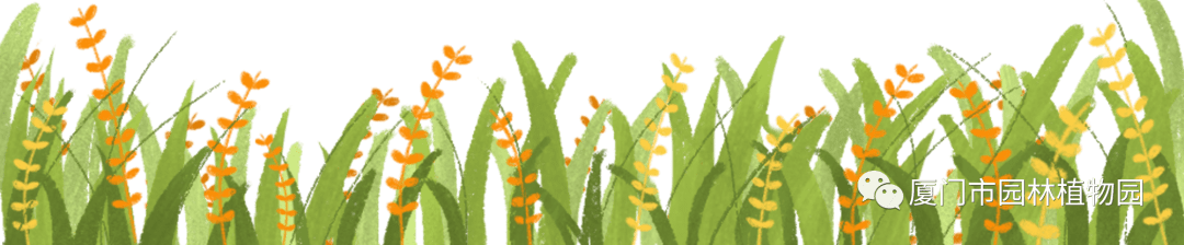 “橙汁”是花不是饮料,旱地里长出莲花...植物园这个园子太神奇了! “橙汁”是花不是饮料,旱地里长出莲花...植物园这个园子太神奇了!