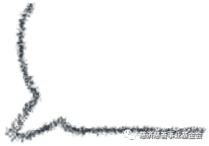 【每日蔬食】锦囊豆腐煲