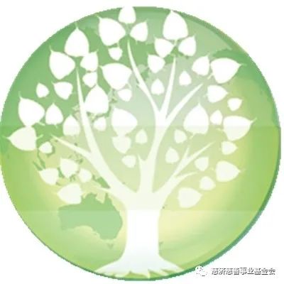 【每日蔬食】锦囊豆腐煲