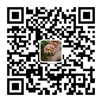 预防流感的生姜咖啡 预防流感的生姜咖啡