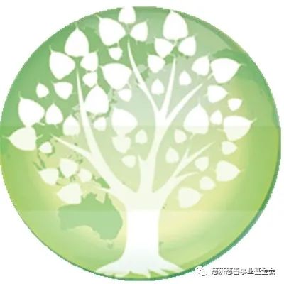 【每日蔬食】香菇焖腐竹