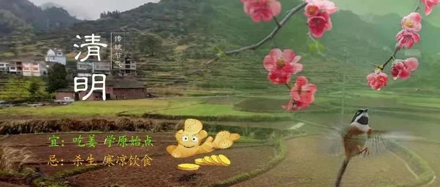 喝一碗正气姜汤  奉一炷恭敬清香！祝天下和顺，日月清明，风雨以时，灾厉不起！愿人人健康平安长寿！-七不姜 生姜养生网-明德CSA生态姜园&明安农业