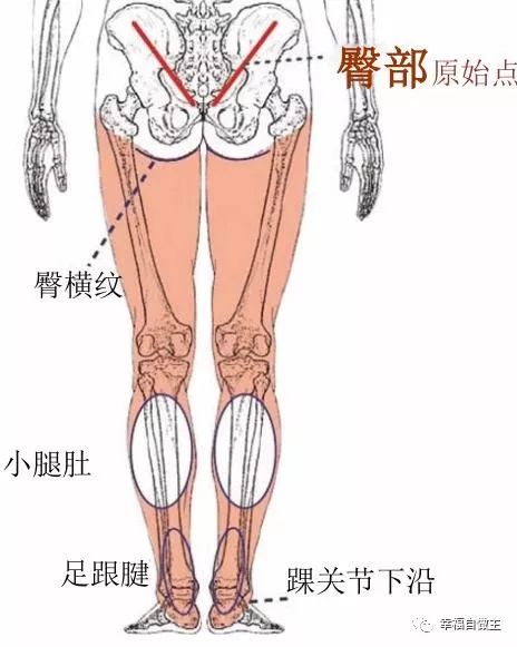 原始点案例：静脉曲张案例集