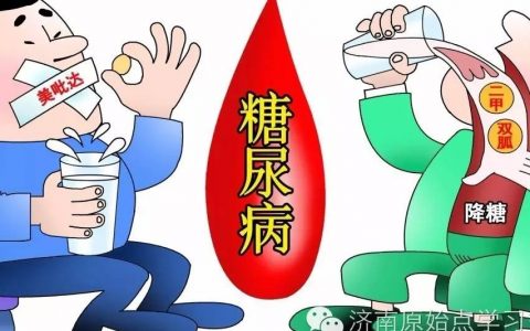 十几年的糖尿病恢复案例-七不姜 生姜养生网-明德CSA生态姜园&明安农业