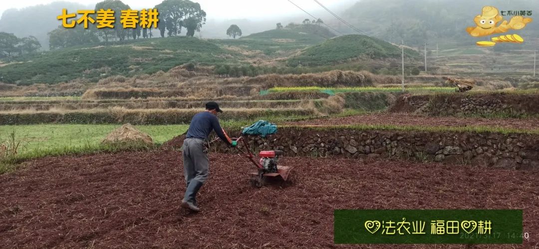 庆心法农业七不姜2021春耕开播 春耕图展 庆心法农业七不姜2021春耕开播 春耕图展