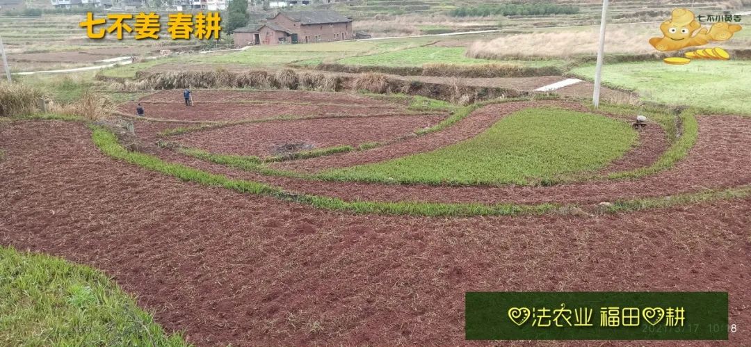 庆心法农业七不姜2021春耕开播 春耕图展 庆心法农业七不姜2021春耕开播 春耕图展