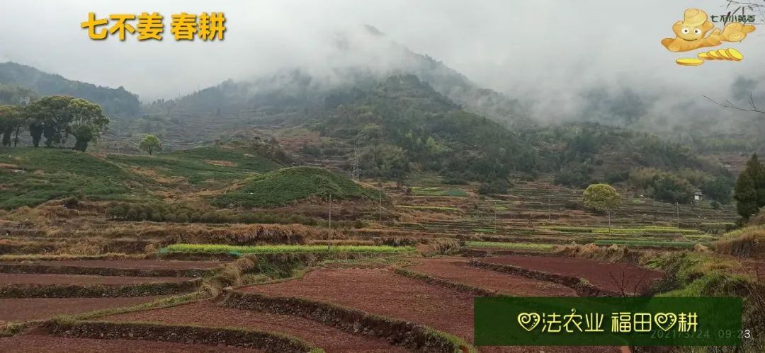 庆心法农业七不姜2021春耕开播 春耕图展 庆心法农业七不姜2021春耕开播 春耕图展