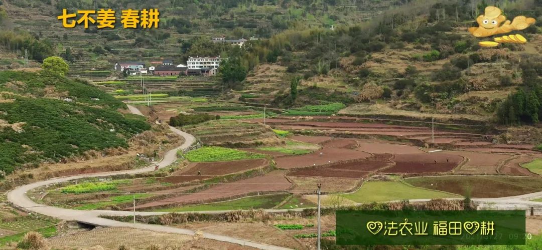 庆心法农业七不姜2021春耕开播 春耕图展 庆心法农业七不姜2021春耕开播 春耕图展