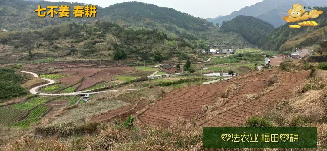 庆心法农业七不姜2021春耕开播 春耕图展 庆心法农业七不姜2021春耕开播 春耕图展