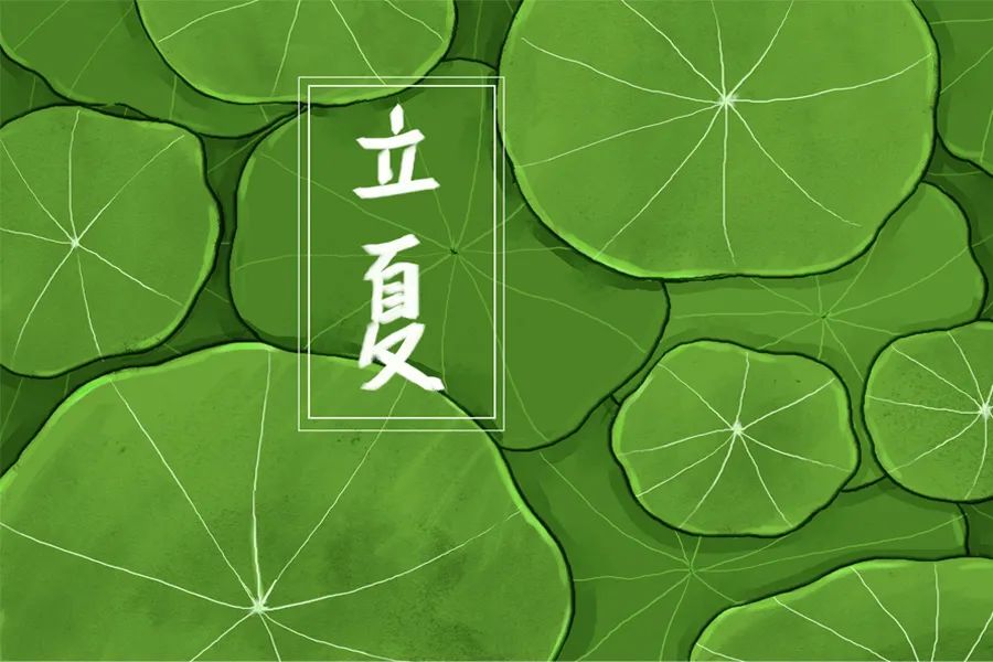 神州姜窖 | 立夏 春逝夏始 神州姜窖 | 立夏 春逝夏始