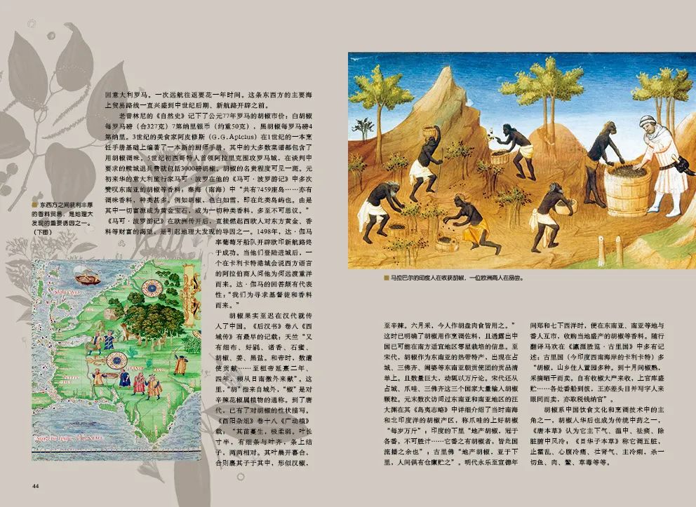 世界热爱香料 香料改变世界