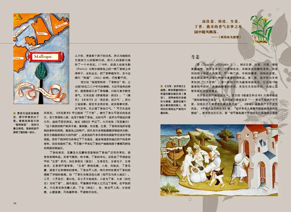 世界热爱香料 香料改变世界