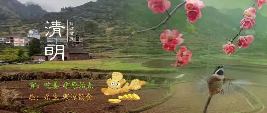 姜/薑:果珍李柰 菜重芥薑。许慎《说文》,《齐民要术》“种姜” 姜/薑:果珍李柰 菜重芥薑。许慎《说文》,《齐民要术》“种姜”