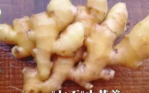 湿地养生 | 冬吃萝卜,夏吃姜!这样吃姜最健康(附食谱)-七不姜 生姜养生网-明德CSA生态姜园&明安农业