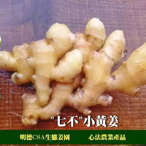 湿地养生 |  冬吃萝卜，夏吃姜！这样吃姜最健康（附食谱）-七不姜 生姜养生网-明德CSA生态姜园&明安农业