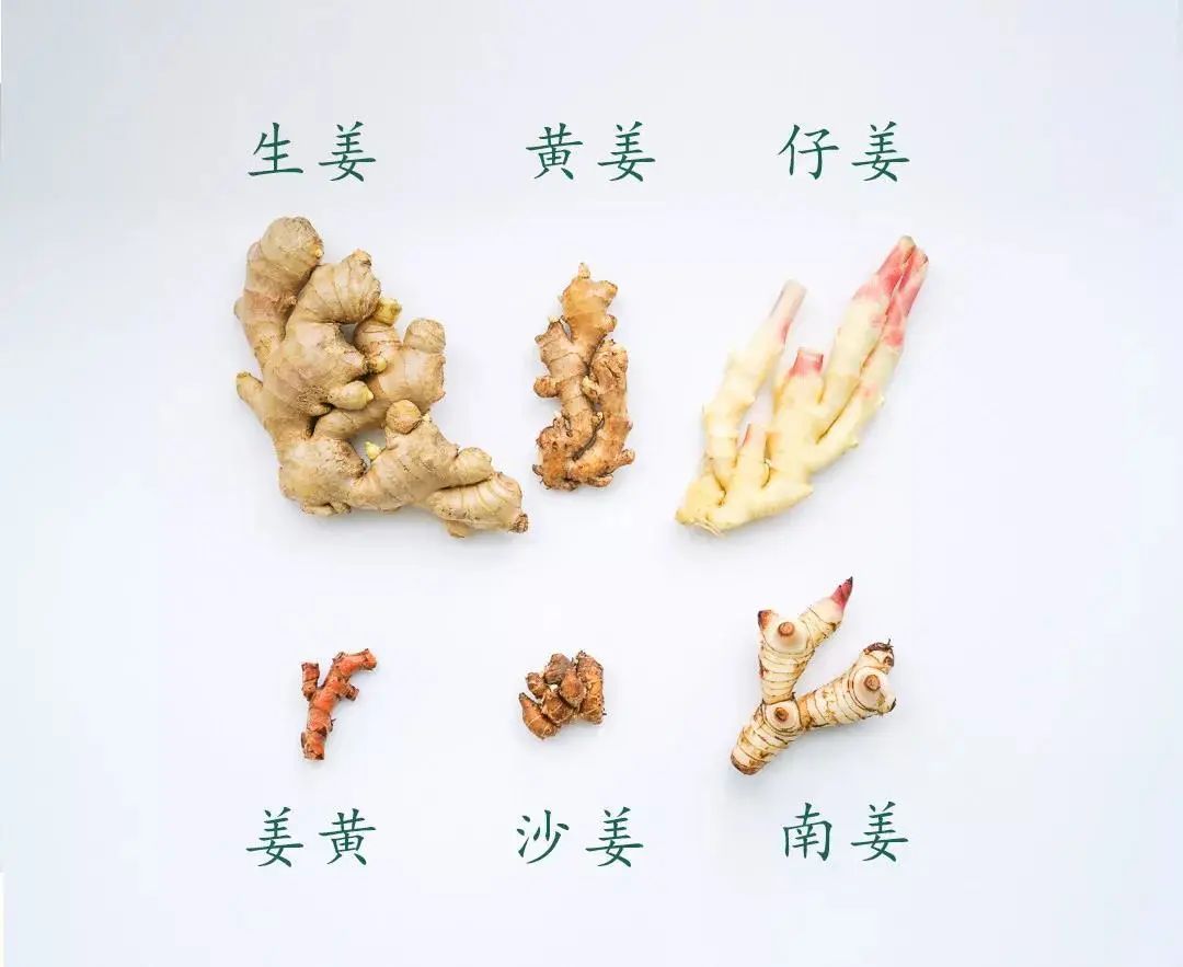 湿地养生 | 冬吃萝卜,夏吃姜!这样吃姜最健康(附食谱) 湿地养生 | 冬吃萝卜,夏吃姜!这样吃姜最健康(附食谱)