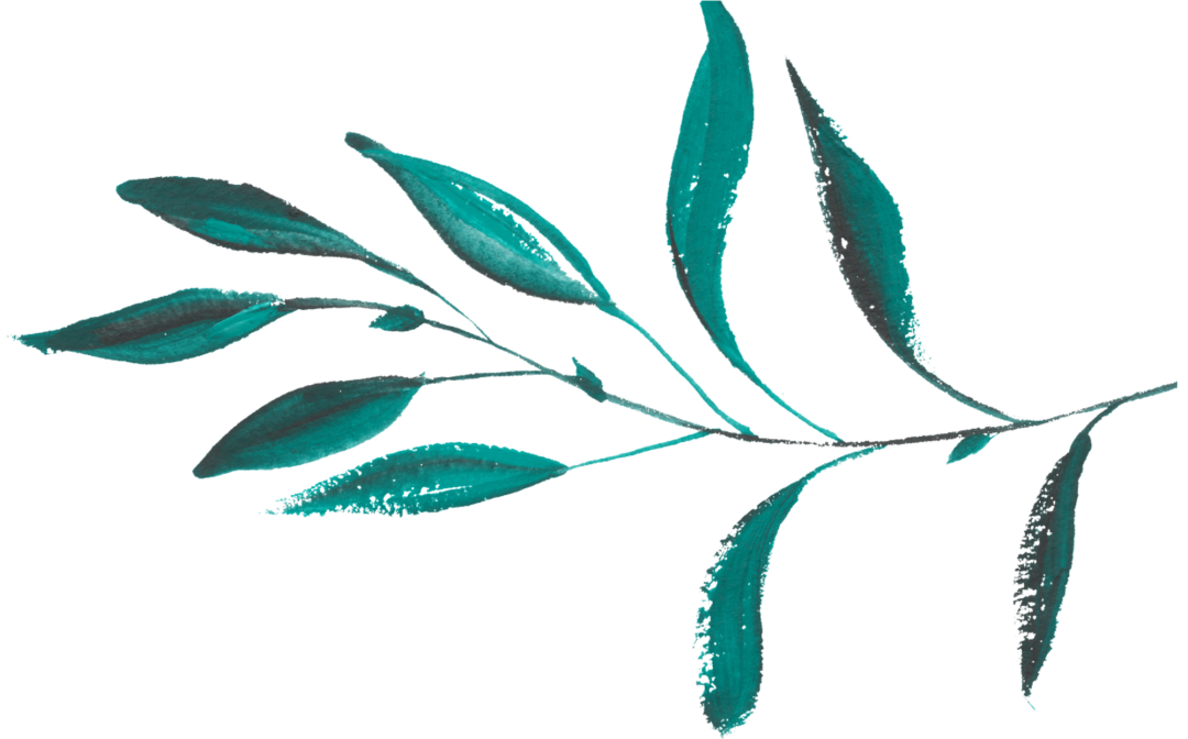 湿地养生 | 冬吃萝卜,夏吃姜!这样吃姜最健康(附食谱) 湿地养生 | 冬吃萝卜,夏吃姜!这样吃姜最健康(附食谱)