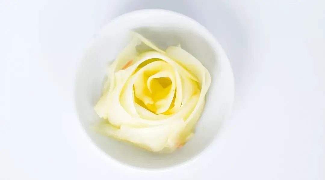 湿地养生 | 冬吃萝卜,夏吃姜!这样吃姜最健康(附食谱) 湿地养生 | 冬吃萝卜,夏吃姜!这样吃姜最健康(附食谱)