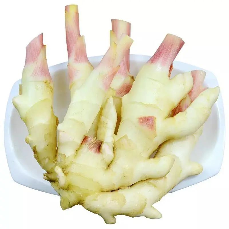 湿地养生 | 冬吃萝卜,夏吃姜!这样吃姜最健康(附食谱) 湿地养生 | 冬吃萝卜,夏吃姜!这样吃姜最健康(附食谱)