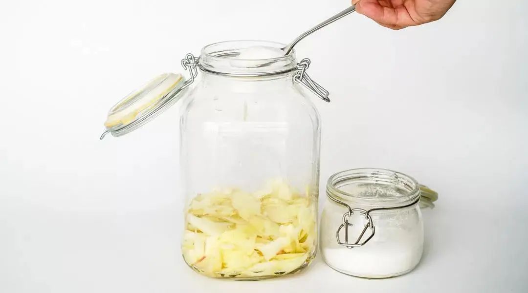 湿地养生 | 冬吃萝卜,夏吃姜!这样吃姜最健康(附食谱) 湿地养生 | 冬吃萝卜,夏吃姜!这样吃姜最健康(附食谱)