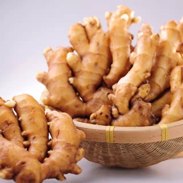 湿地养生 | 冬吃萝卜,夏吃姜!这样吃姜最健康(附食谱) 湿地养生 | 冬吃萝卜,夏吃姜!这样吃姜最健康(附食谱)