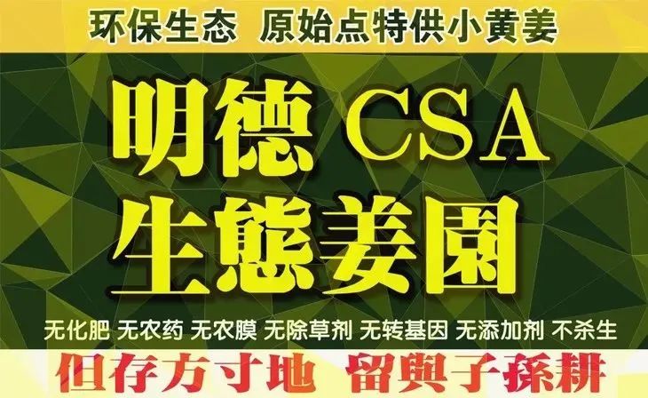 2021 618&端午 劵 每周优惠券