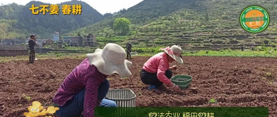 2021 618&端午 劵 每周优惠券