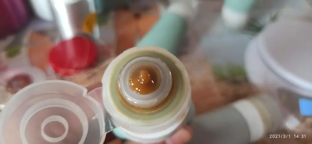 2021最新自制姜泥 姜面膜 家庭美容新妙招