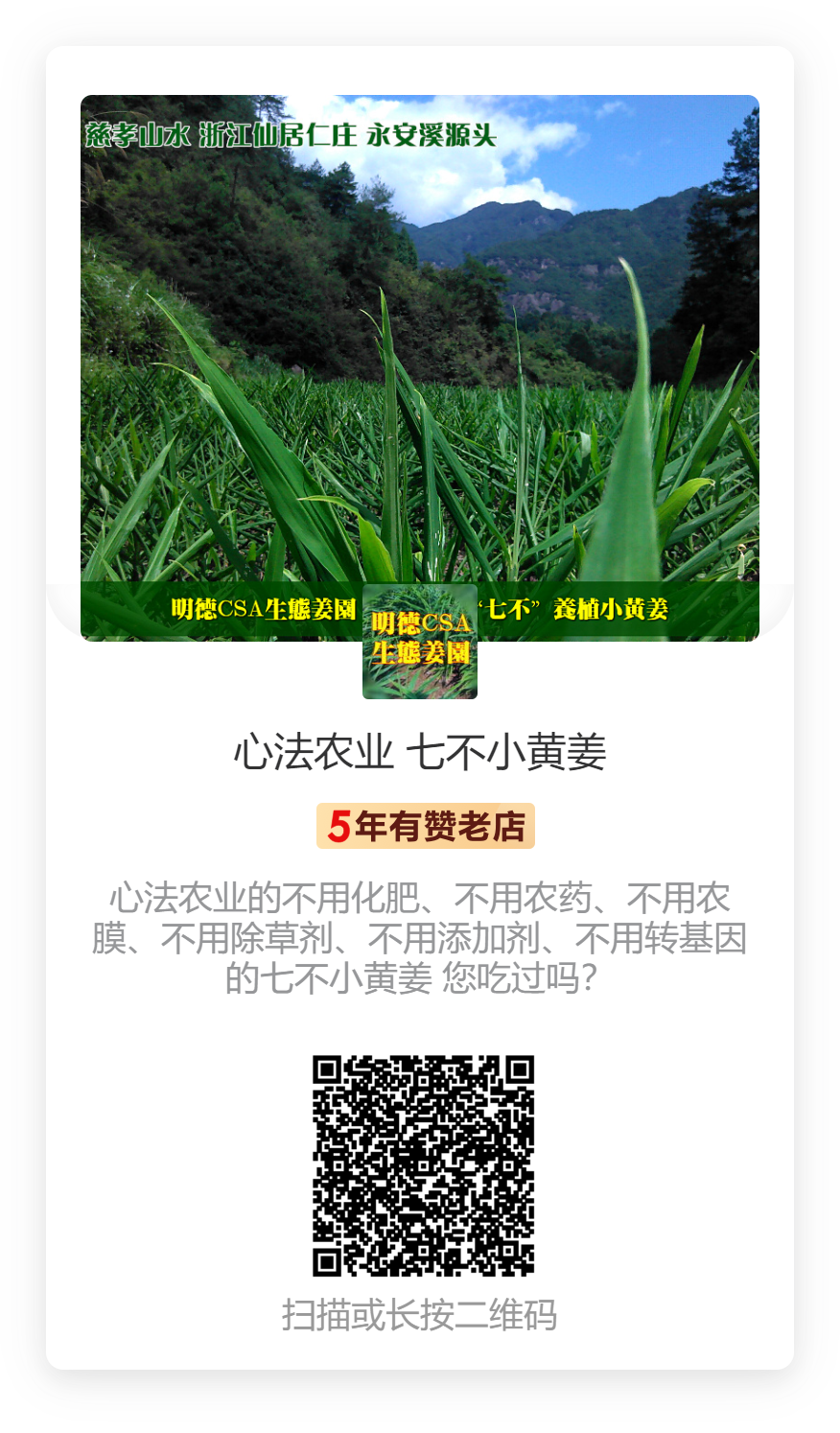 2021最新自制姜泥 姜面膜 家庭美容新妙招 2021最新自制姜泥 姜面膜 家庭美容新妙招
